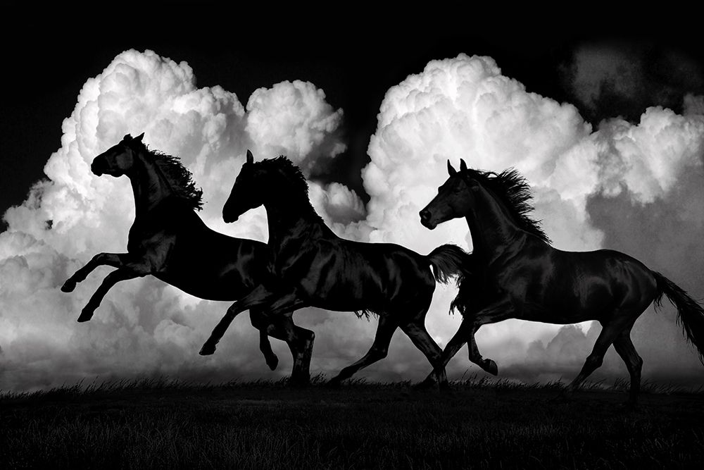 Wild Horses art print by Samantha Carter for $57.95 CAD