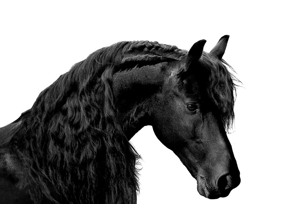 Classic Black I art print by Samantha Carter for $57.95 CAD