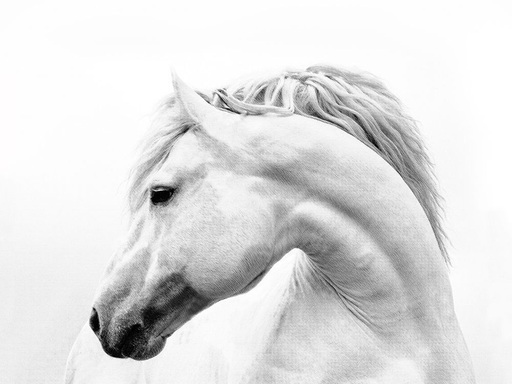 Head Turner art print by Samantha Carter for $57.95 CAD