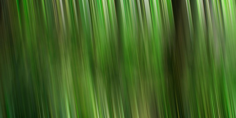 Tree motion art print by Savanah Plank for $57.95 CAD