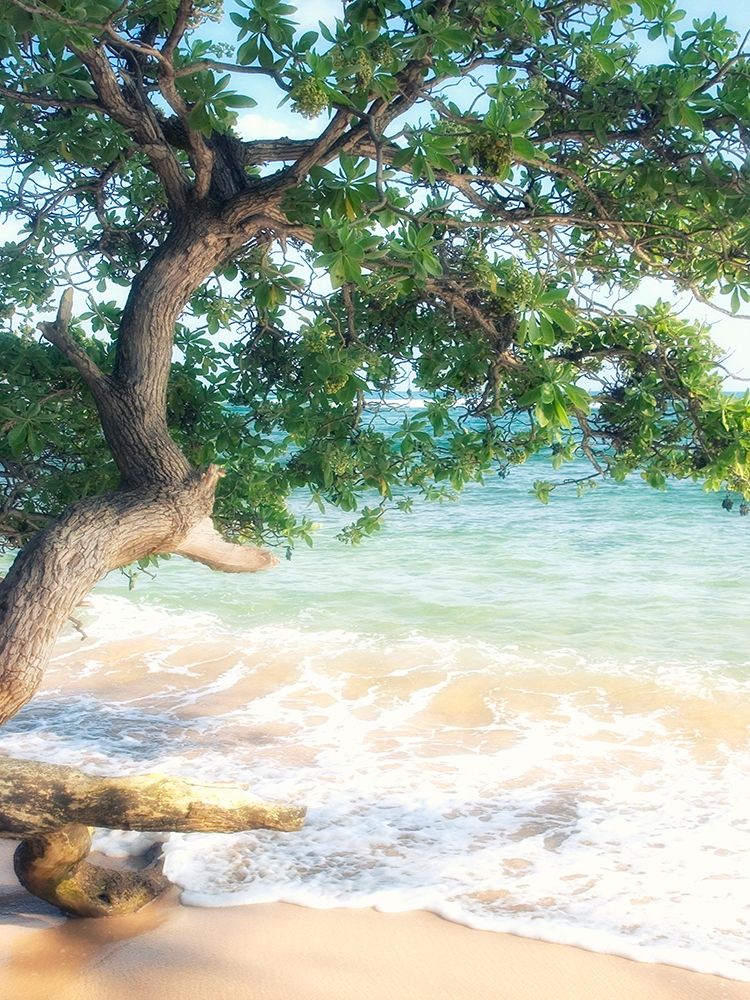 USA, Hawaii, Kauai art print by Savanah Plank for $57.95 CAD