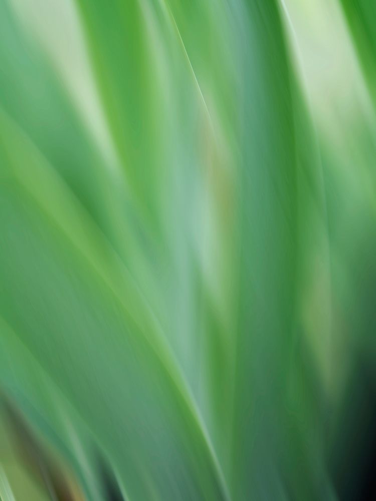 Green flora motion art print by Savanah Plank for $57.95 CAD