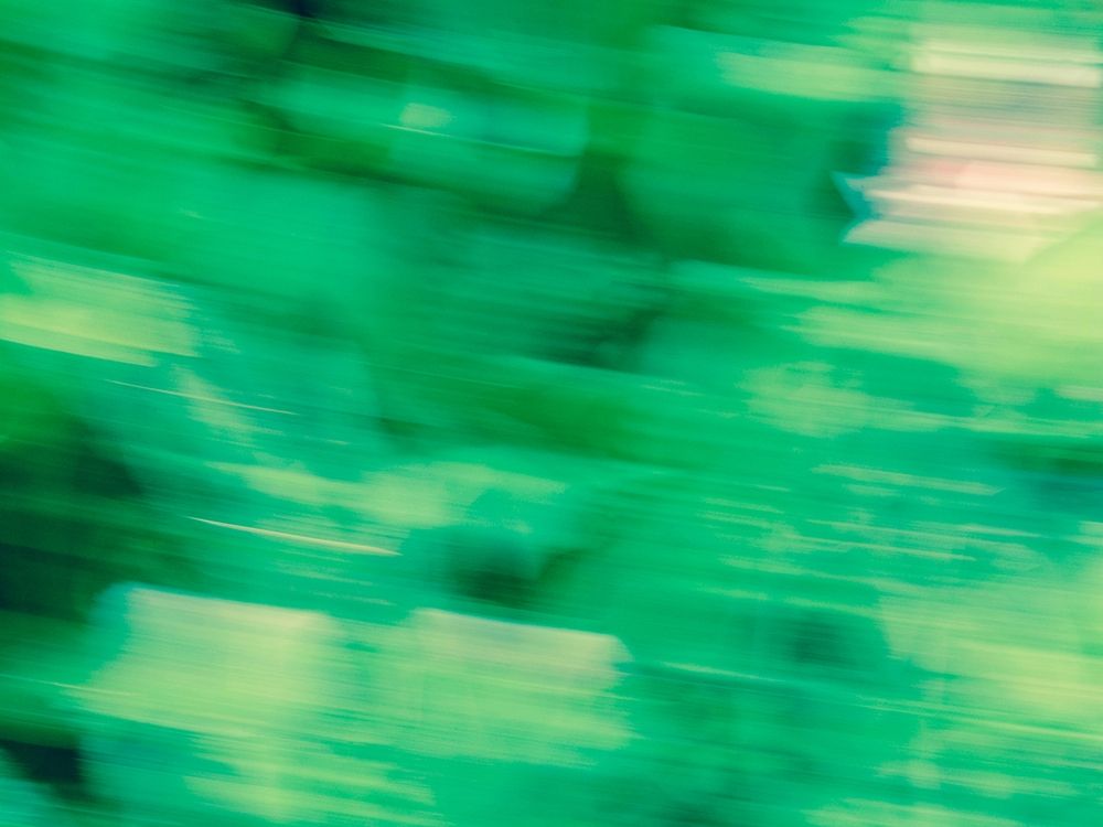 Flora Motion art print by Savanah Plank for $57.95 CAD