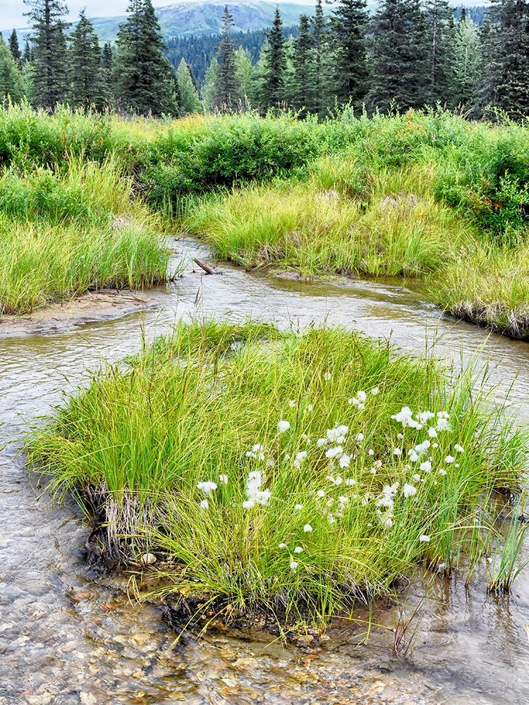 Alaska marshland art print by Savanah Plank for $57.95 CAD