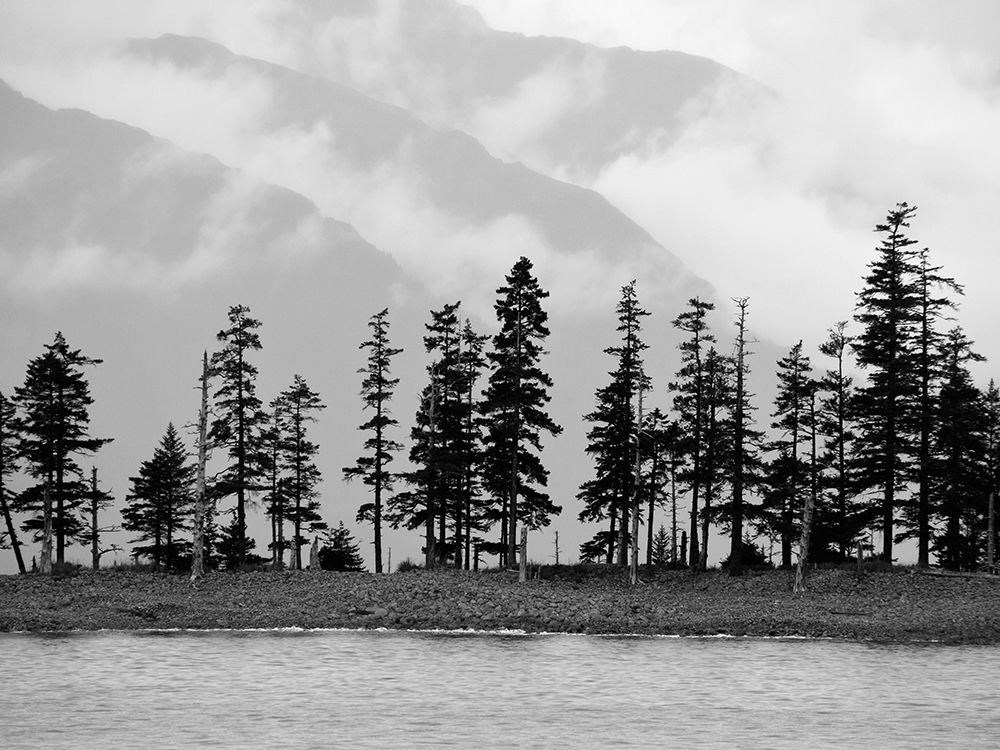 Pines art print by Savanah Plank for $57.95 CAD