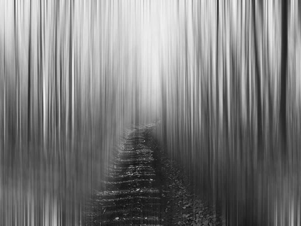Path art print by Savanah Plank for $57.95 CAD