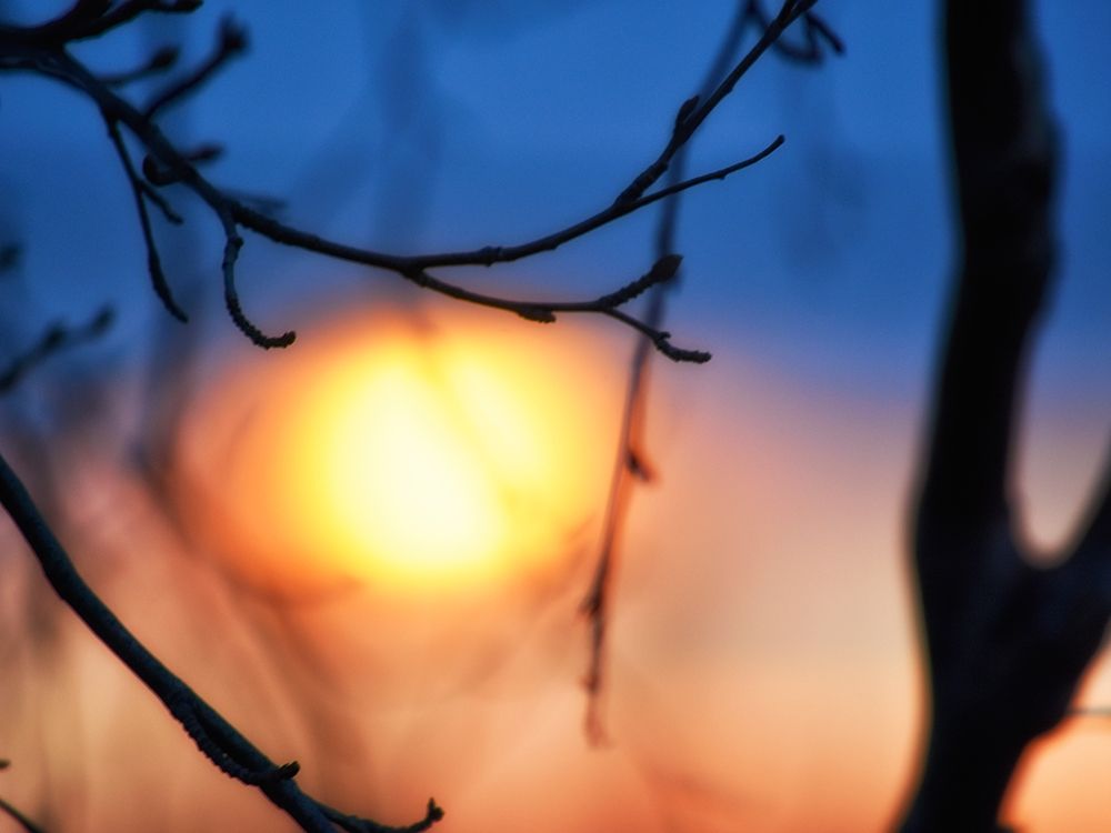 Abstract Sunset art print by Savanah Plank for $57.95 CAD