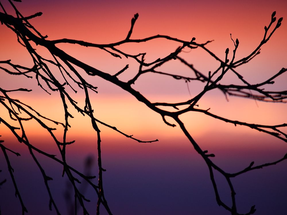 Abstract Sunset art print by Savanah Plank for $57.95 CAD