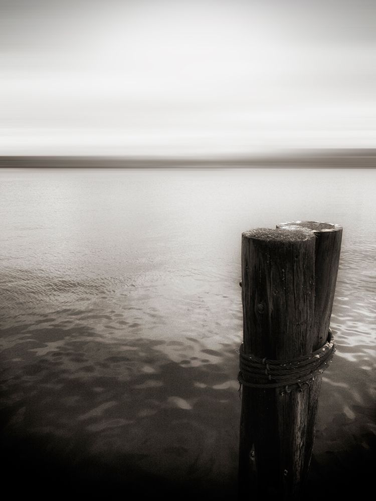 USA, Seattle, view from Alki b art print by Savanah Plank for $57.95 CAD