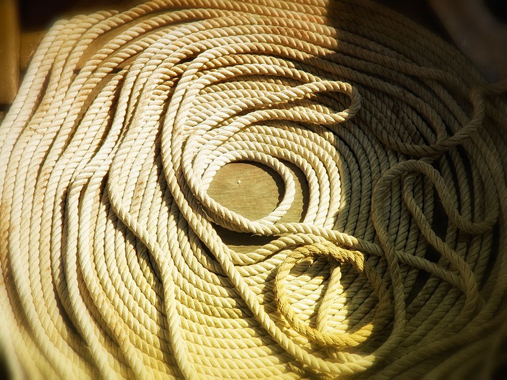 Boat line coiled art print by Savanah Plank for $57.95 CAD