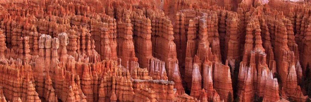 Bryce Canyon Utah art print by Scott Bennion for $57.95 CAD