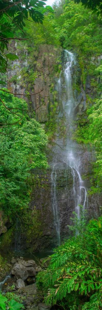 Maui Waterfall art print by Scott Bennion for $57.95 CAD