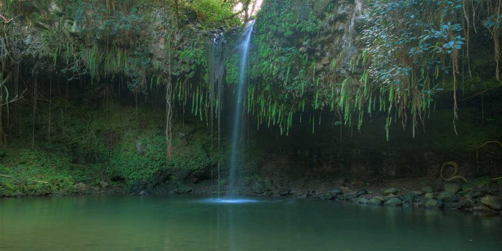 Twin Falls - Maui art print by Scott Bennion for $57.95 CAD