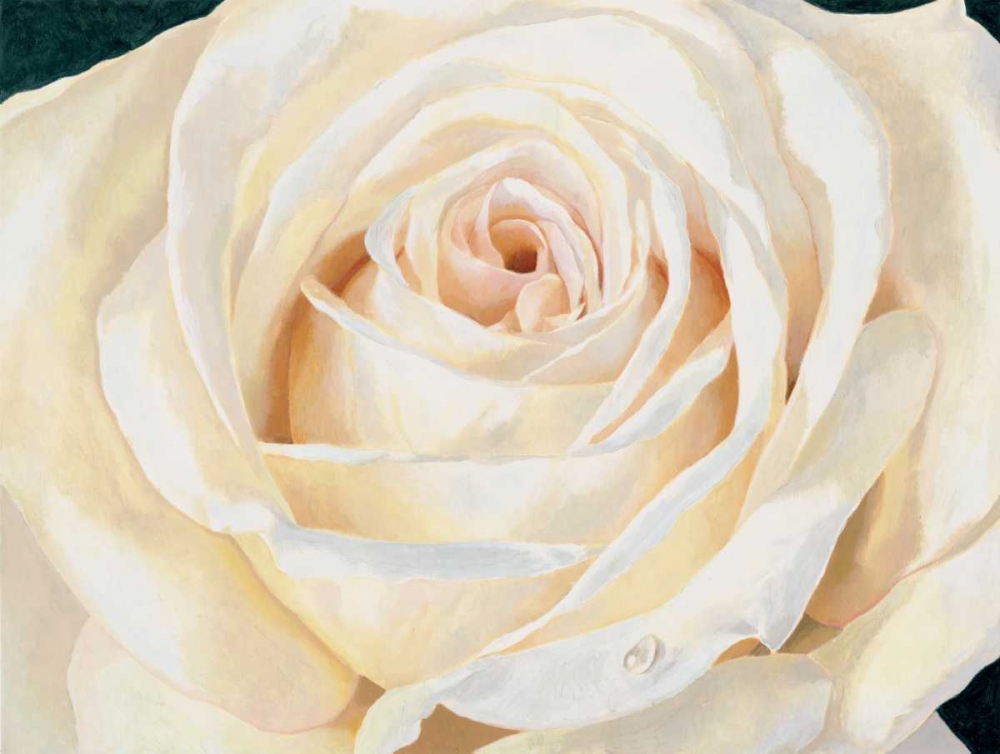 Eleganza art print by Stefania Re for $57.95 CAD