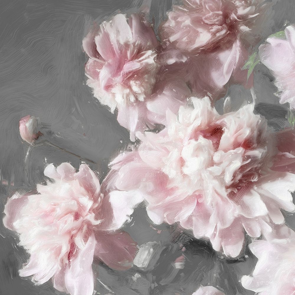 Peonies on Gray II art print by Shawna Sullivan for $57.95 CAD
