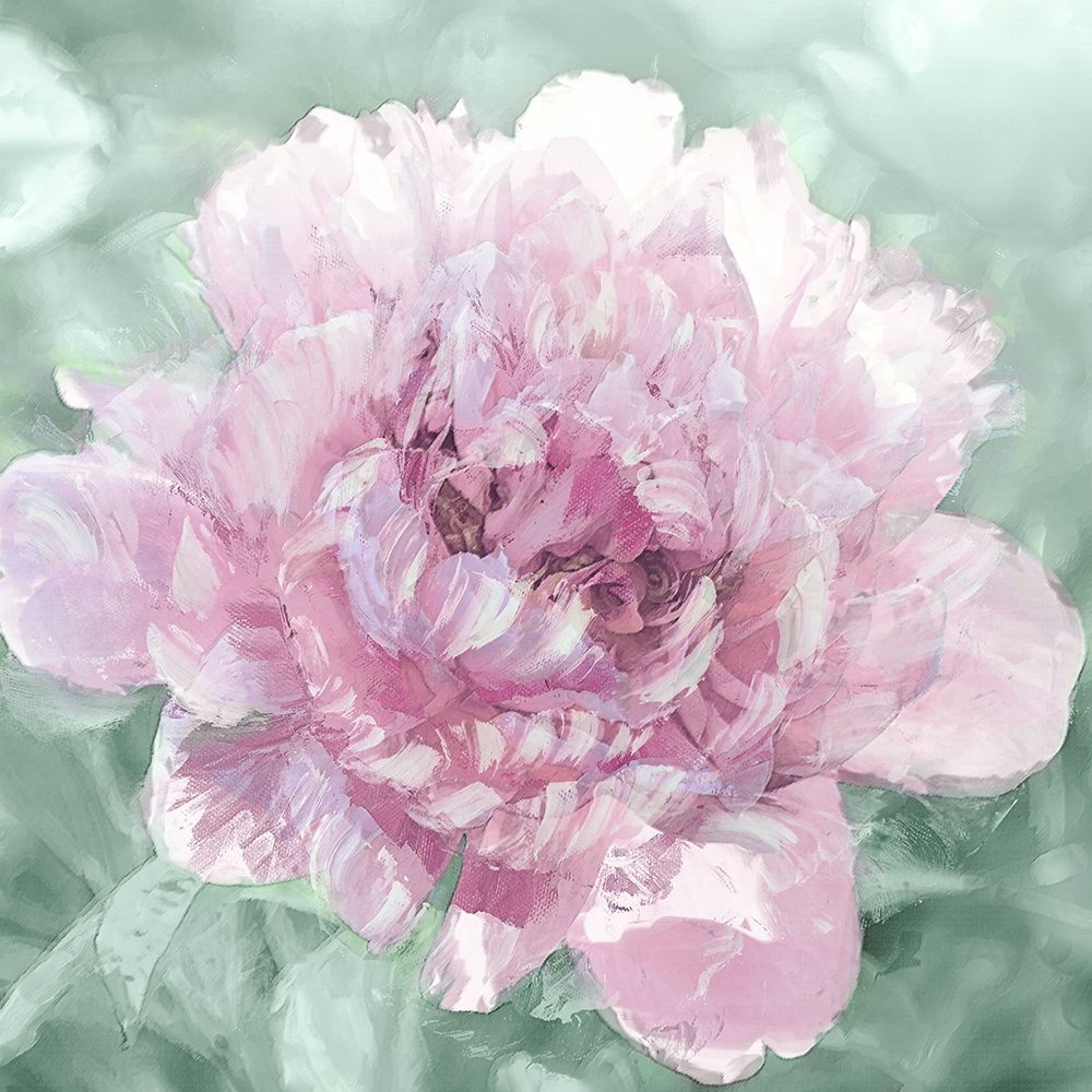 Solo Blush I art print by Shawna Sullivan for $57.95 CAD