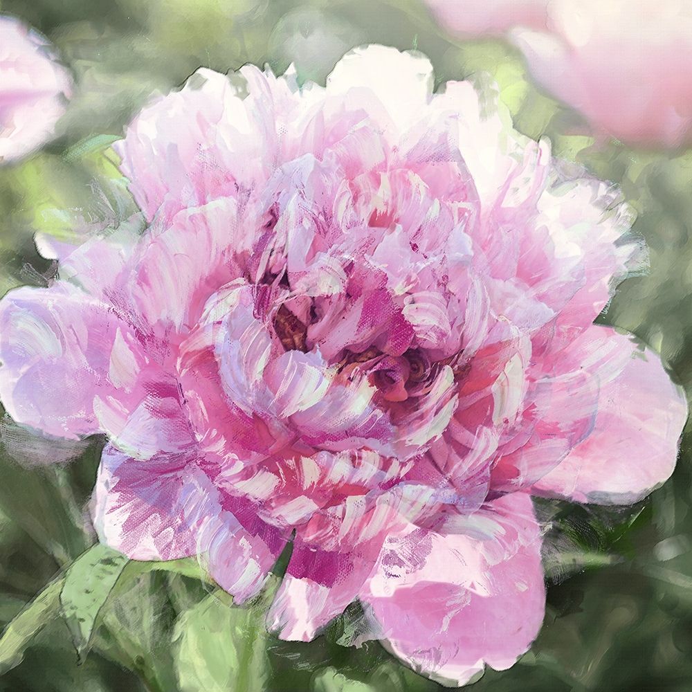 Solo Pink I art print by Shawna Sullivan for $57.95 CAD