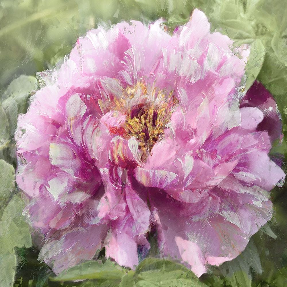 Solo Pink II art print by Shawna Sullivan for $57.95 CAD