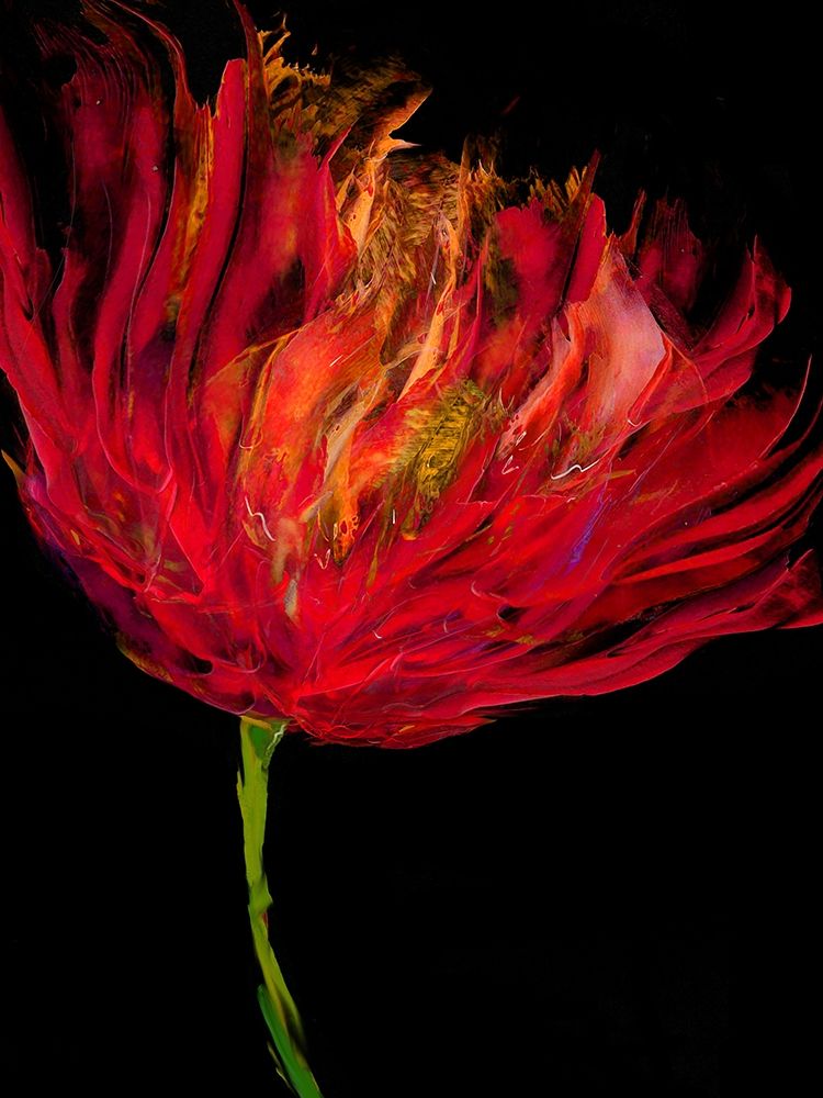Red Tulips I art print by Vanessa Austin for $57.95 CAD