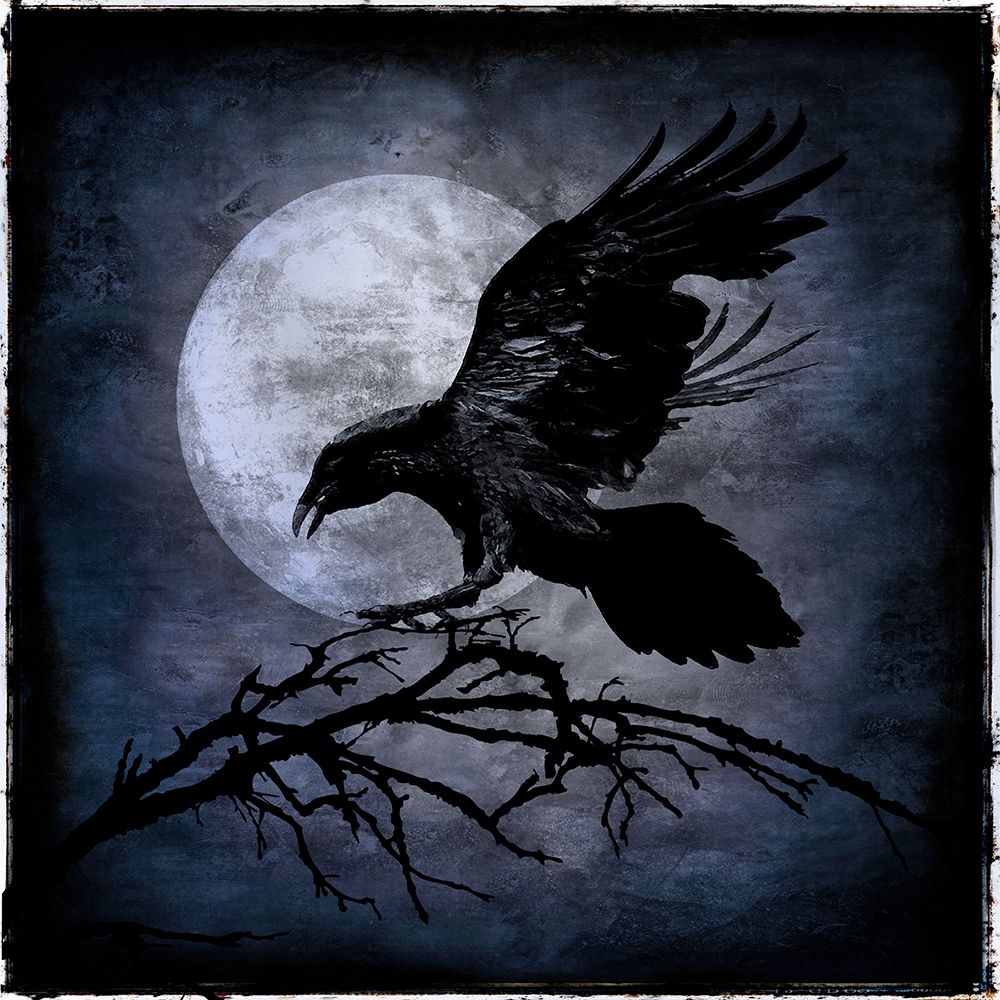 Crow art print by Martin Wagner for $57.95 CAD