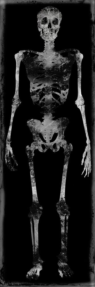Skeleton III art print by Martin Wagner for $57.95 CAD