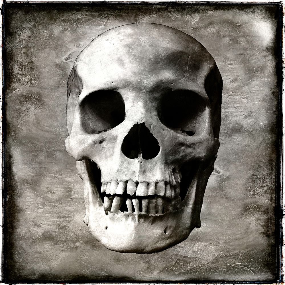 Skull I art print by Martin Wagner for $57.95 CAD