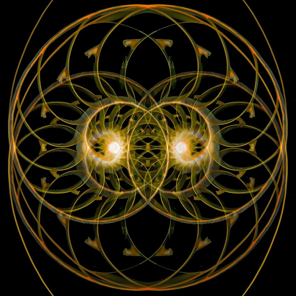 Nautilus Quad art print by Richard Reynolds for $57.95 CAD