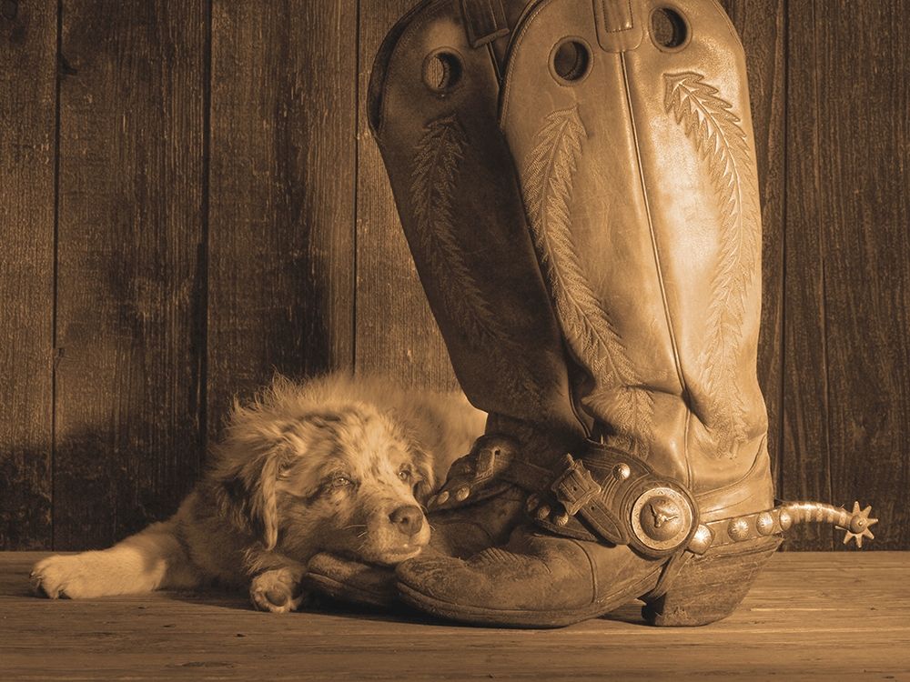 Dixie Sepia art print by Robert Dawson for $57.95 CAD