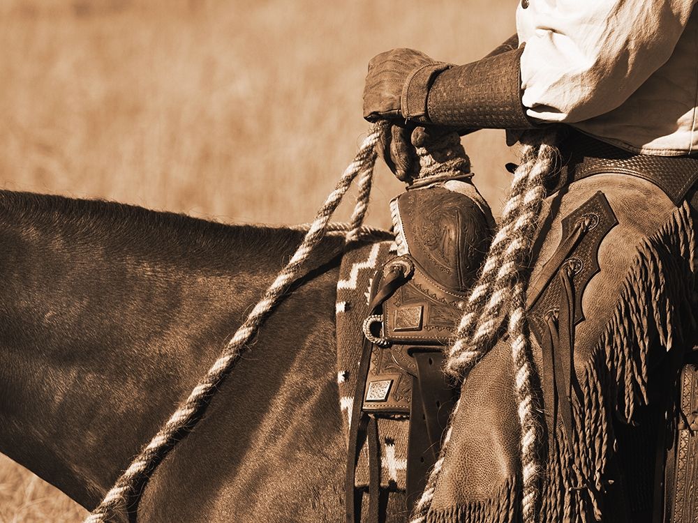 Buckaroo I art print by Robert Dawson for $57.95 CAD