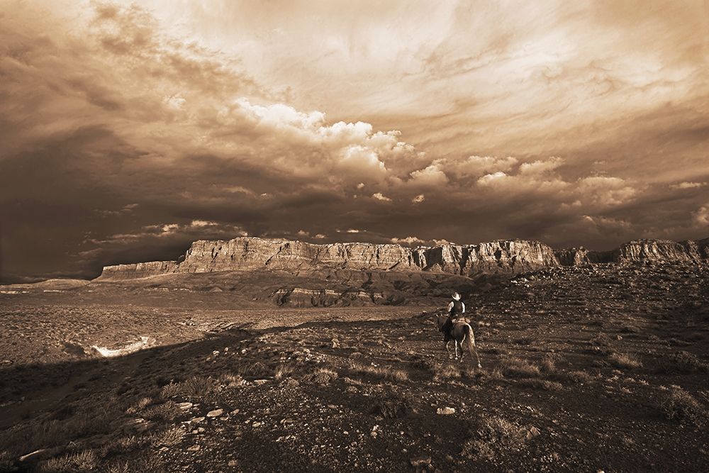 Arizona Morning art print by Robert Dawson for $57.95 CAD