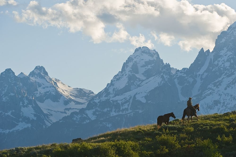 Into the Tetons art print by Robert Dawson for $57.95 CAD