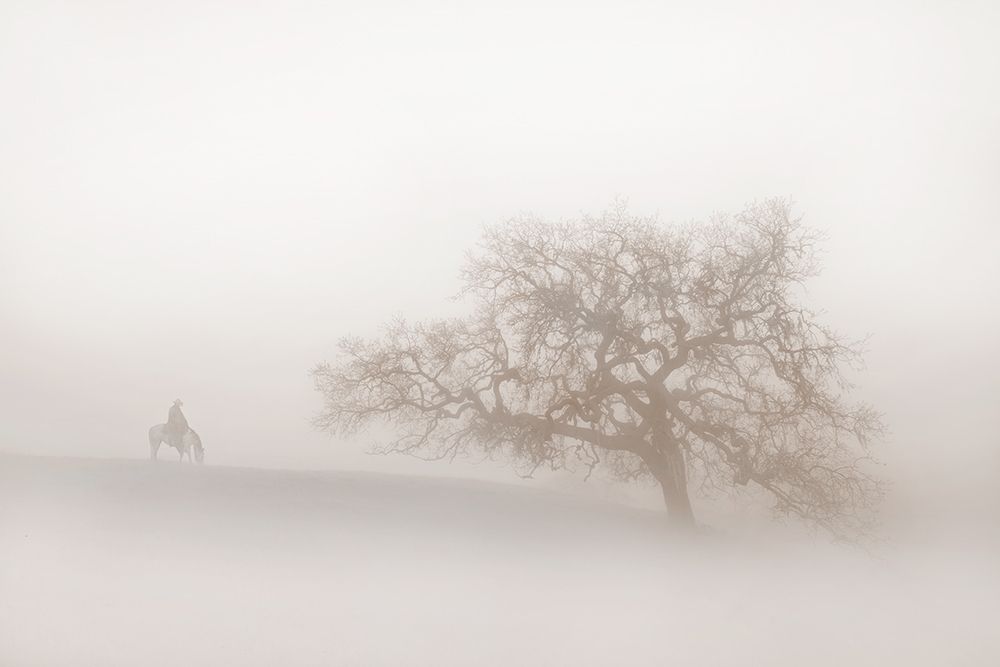 Lonely Days art print by Robert Dawson for $57.95 CAD