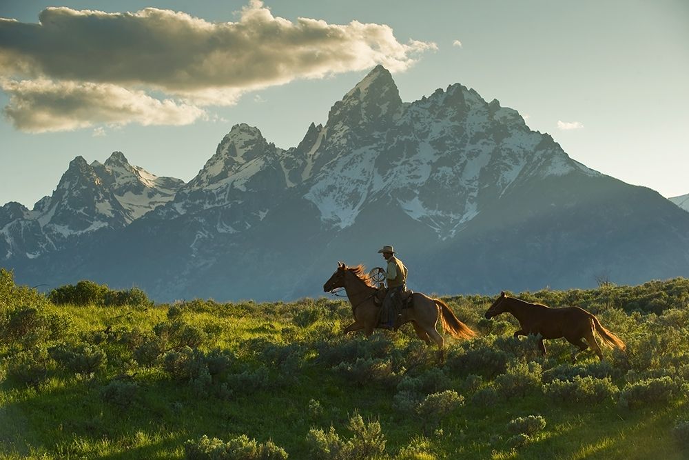 Along the Teton Trail art print by Robert Dawson for $57.95 CAD