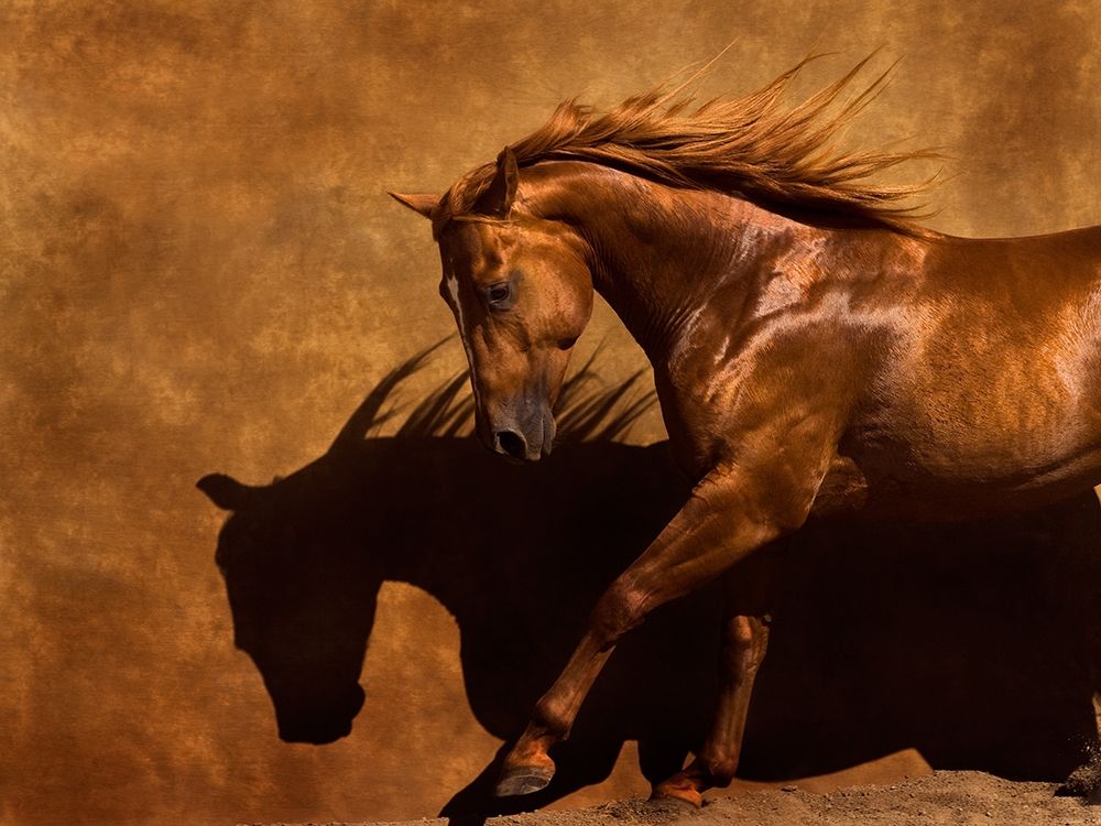 Adobe Dancer art print by Robert Dawson for $57.95 CAD