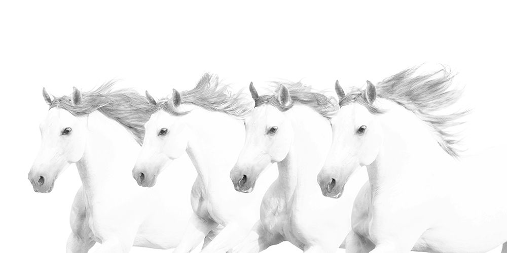 El Blancos art print by Robert Dawson for $57.95 CAD