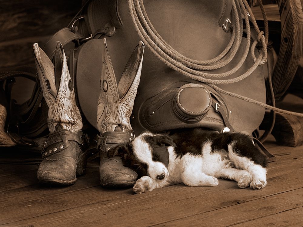 Cowboy Puppy art print by Robert Dawson for $57.95 CAD