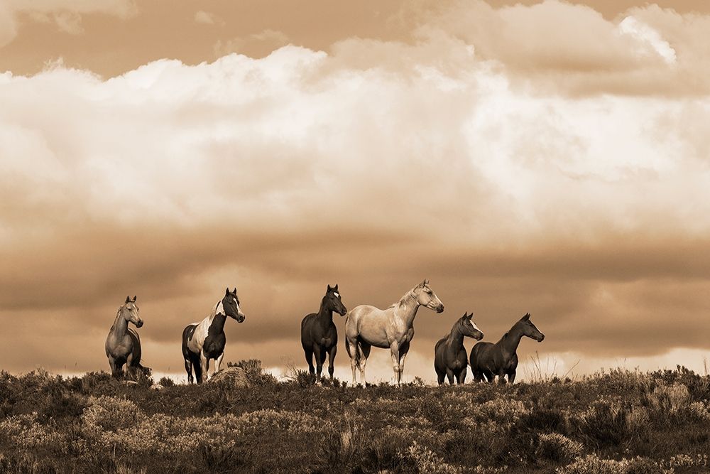 Prairie Song art print by Robert Dawson for $57.95 CAD