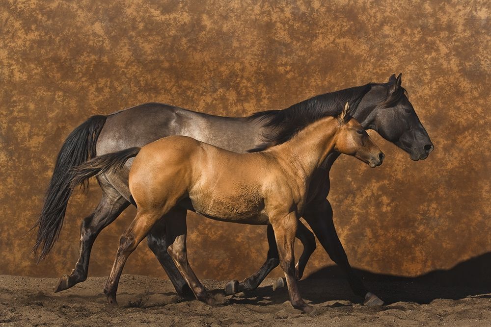 Mother and Son art print by Robert Dawson for $57.95 CAD