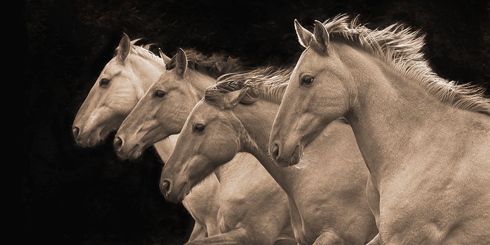 Pretty Girls art print by Robert Dawson for $57.95 CAD