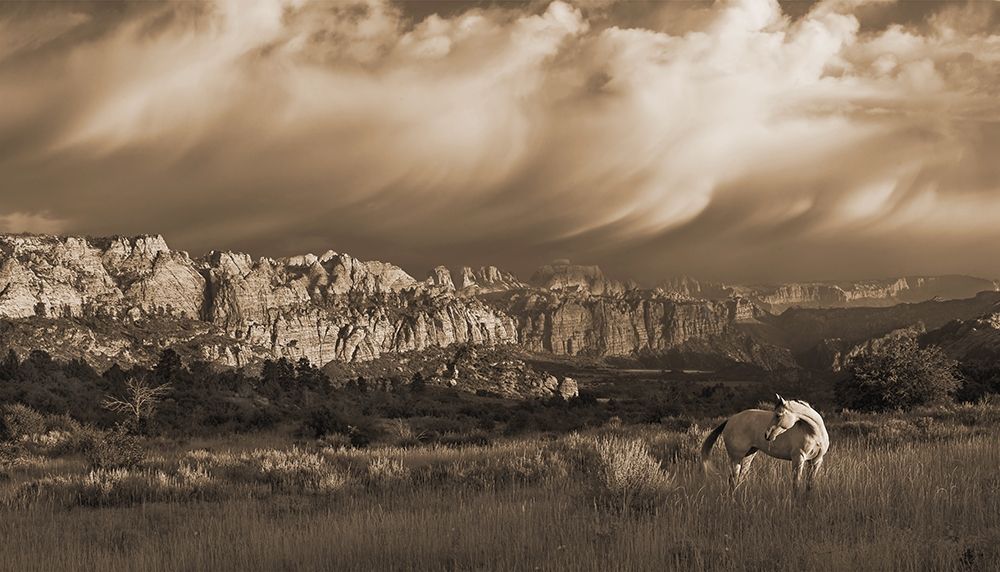 On the Utah Plains art print by Robert Dawson for $57.95 CAD