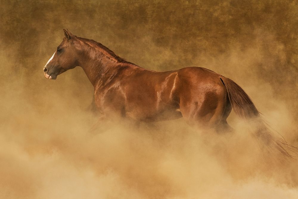 Out of the Dust art print by Robert Dawson for $57.95 CAD