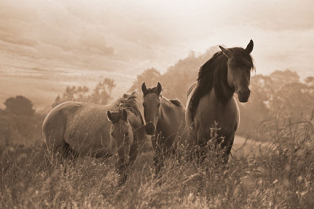 One Spring Morning art print by Robert Dawson for $57.95 CAD
