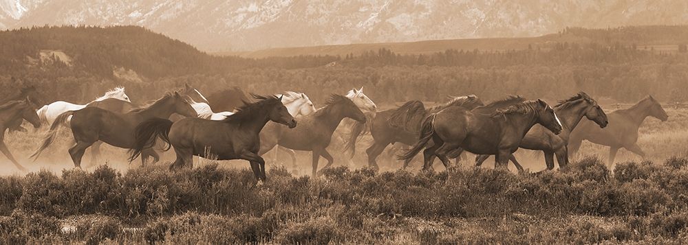 Racing the Storm II art print by Robert Dawson for $57.95 CAD