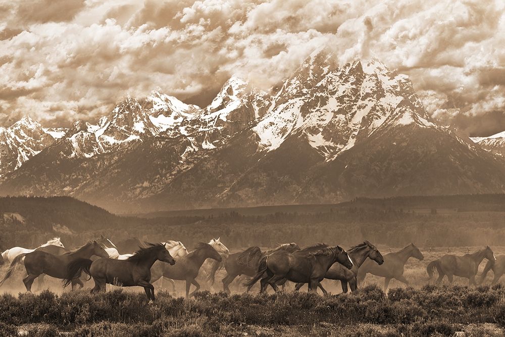 Racing the Storm I art print by Robert Dawson for $57.95 CAD