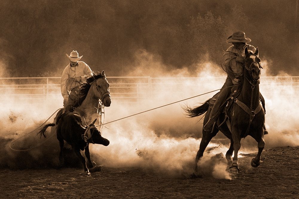 Roping on the Ranch ~ Sepia art print by Robert Dawson for $57.95 CAD