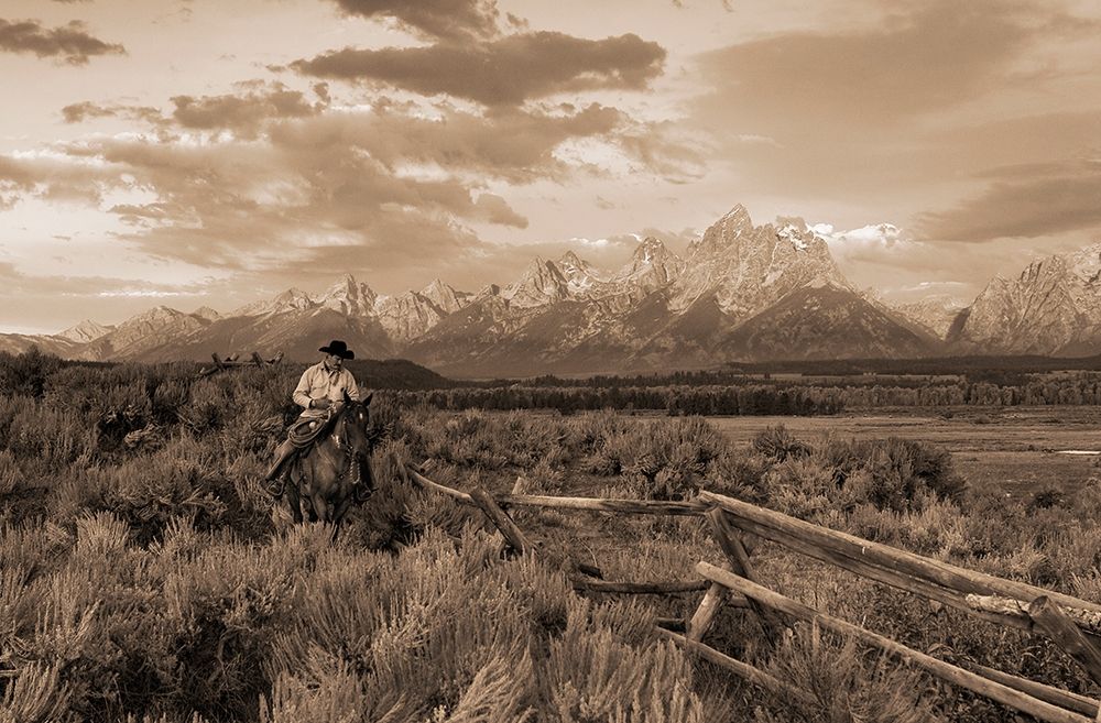 Ridin Fences I   sepia art print by Robert Dawson for $57.95 CAD