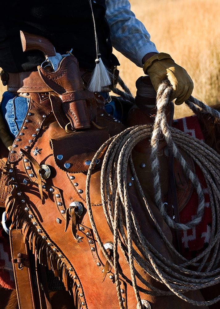 Range Rider III ~ Color art print by Robert Dawson for $57.95 CAD