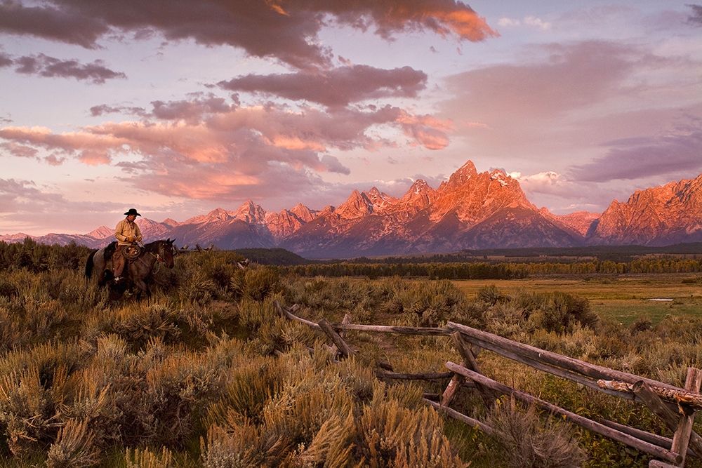 Ridin Fences 1 ~ Color art print by Robert Dawson for $57.95 CAD