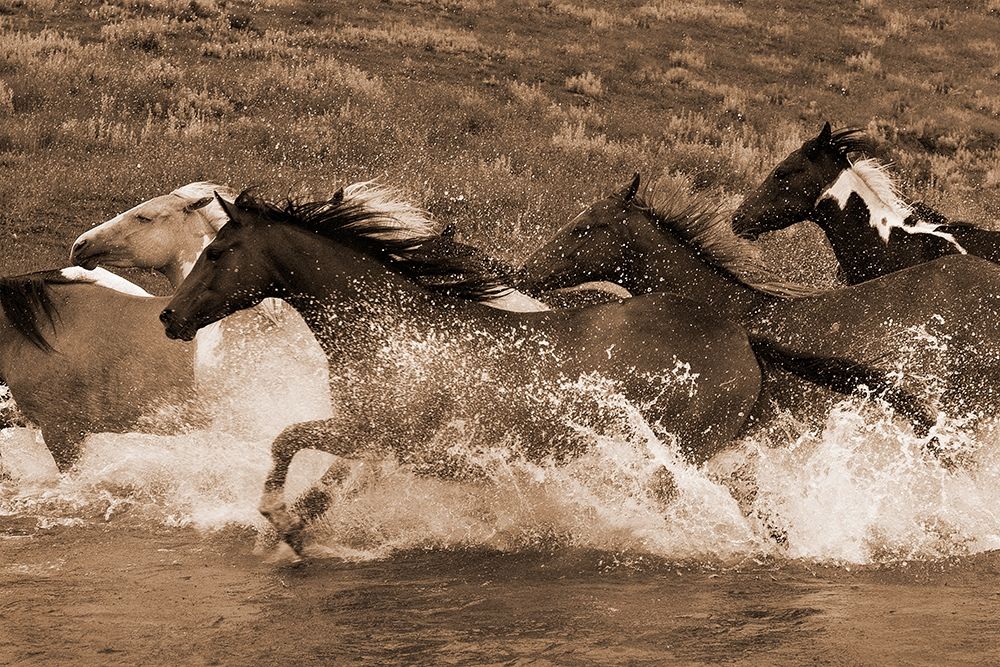 River Race art print by Robert Dawson for $57.95 CAD