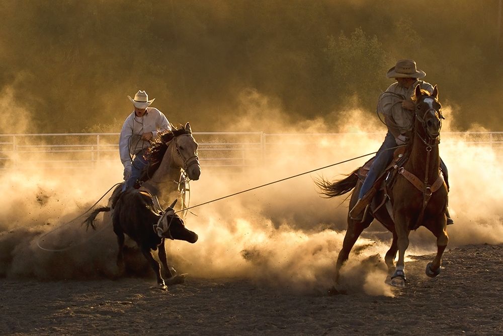 Ropin on the Ranch art print by Robert Dawson for $57.95 CAD